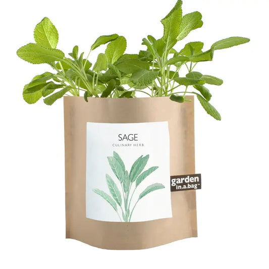 Sage Garden in a  Bag